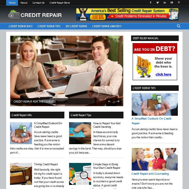 4 Premade Niche Websites - Infertility Blog, Credit Repair, Work from Home, Make gallery