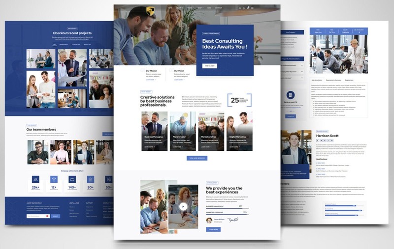 CUSTOM PROFESSIONAL WEBSITE FOR CONSULTING SERVICES AND AGENCIES WORDPRESS gallery